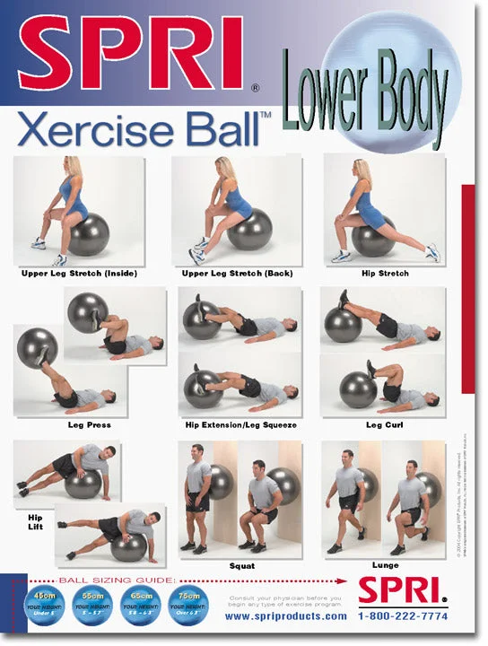 Glamour - infused  SPRI Excercise XERCISE BALL? Lower Body Chart